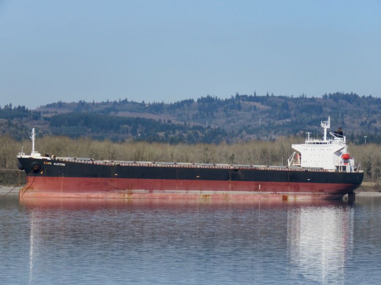 kavo alkyon (Bulk Carrier) - IMO 9291121, MMSI 538008300, Call Sign V7A2211 under the flag of Marshall Islands