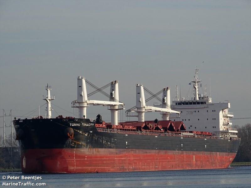 tomini tenacity (Bulk Carrier) - IMO 9831787, MMSI 538008340, Call Sign V7A2256 under the flag of Marshall Islands