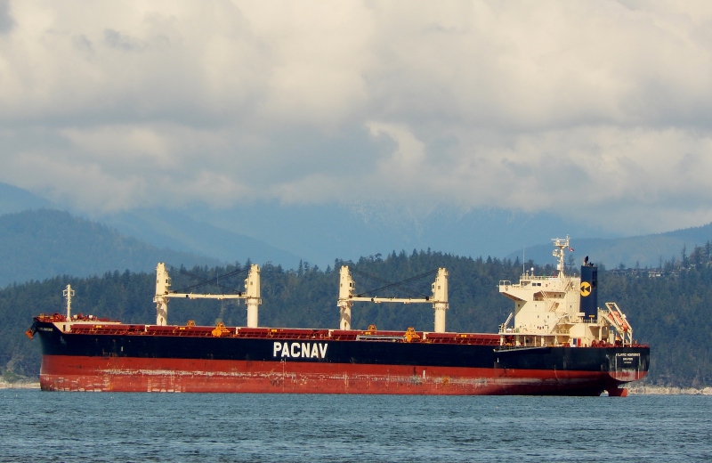 atlantic monterrey (Bulk Carrier) - IMO 9782326, MMSI 563005500, Call Sign 9V2171 under the flag of Singapore