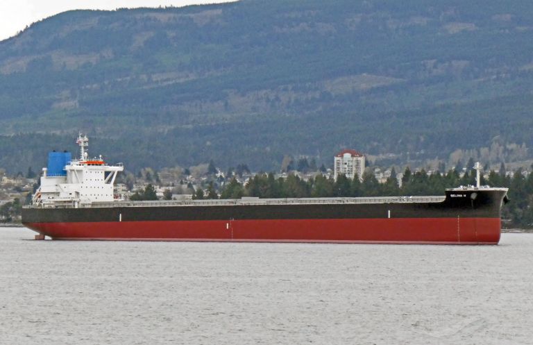 selina h (Bulk Carrier) - IMO 9858515, MMSI 563077100, Call Sign 9V6018 under the flag of Singapore