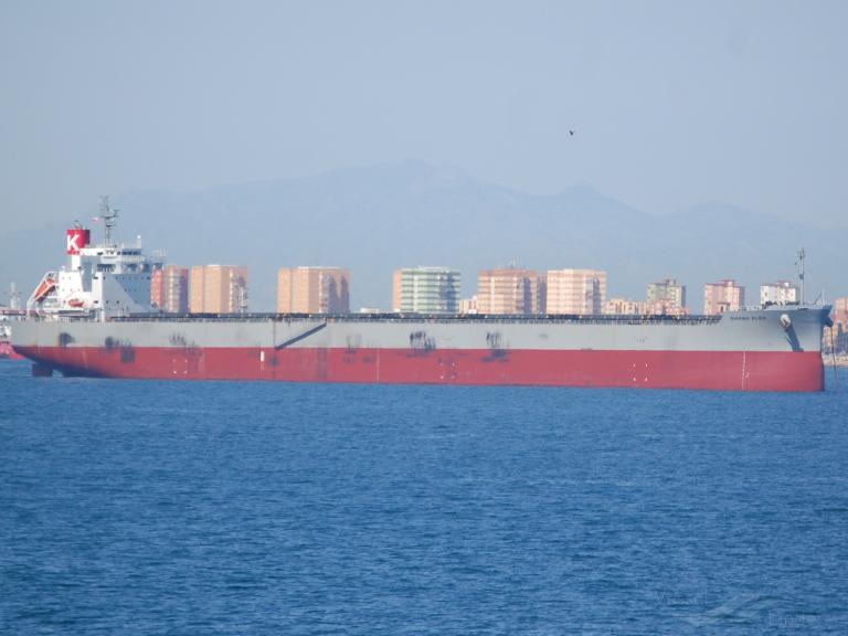 shining bliss (Bulk Carrier) - IMO 9518153, MMSI 565097000, Call Sign 9V2294 under the flag of Singapore