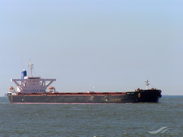 winning endurance (Bulk Carrier) - IMO 9232058, MMSI 566845000, Call Sign 9V5631 under the flag of Singapore