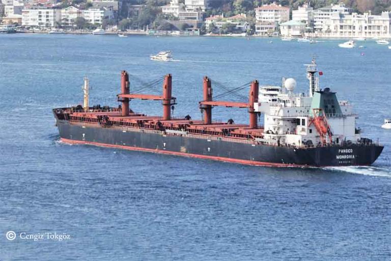 pangeo (Bulk Carrier) - IMO 9467873, MMSI 636016500, Call Sign D5GM3 under the flag of Liberia