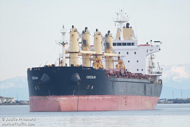 cecilia (Bulk Carrier) - IMO 9467952, MMSI 636017052, Call Sign D5JB6 under the flag of Liberia