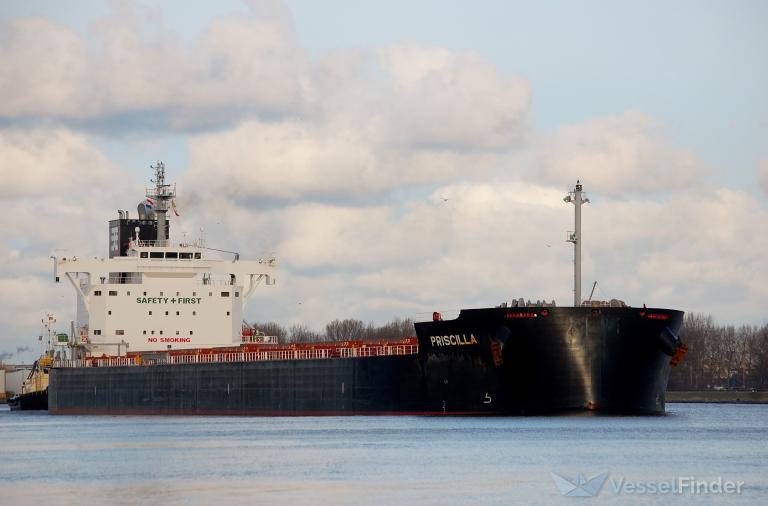 priscilla (Bulk Carrier) - IMO 9880221, MMSI 636019968, Call Sign D5XA5 under the flag of Liberia