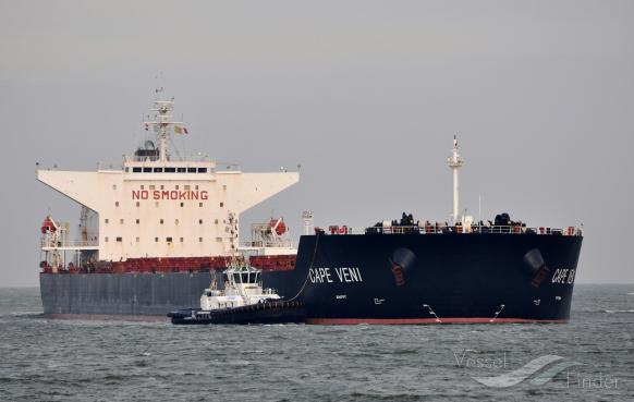 cape veni (Bulk Carrier) - IMO 9344485, MMSI 210531000, Call Sign C4UU2 under the flag of Cyprus