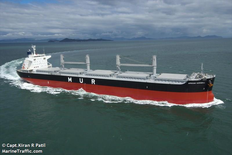 african hornbill (Bulk Carrier) - IMO 9599779, MMSI 311057900, Call Sign C6ZK7 under the flag of Bahamas