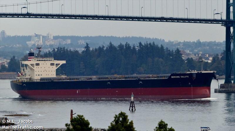 morning salute (Bulk Carrier) - IMO 9691539, MMSI 352669000, Call Sign H3MM under the flag of Panama