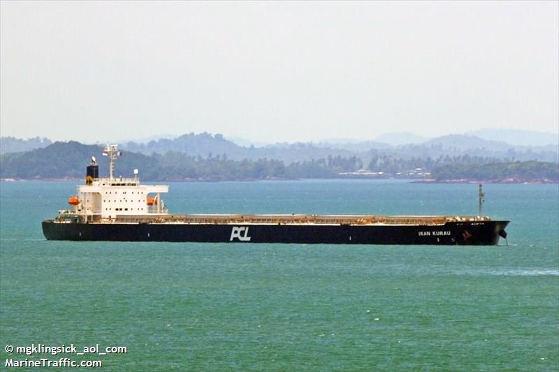 easline lianyungang (Container Ship) - IMO 9153082, MMSI 353258000, Call Sign 3FLL8 under the flag of Panama