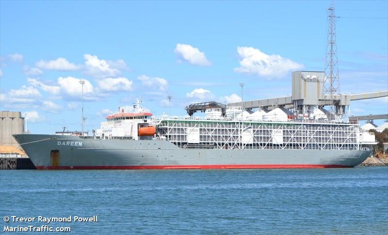 dareen (Livestock Carrier) - IMO 9074913, MMSI 353518000, Call Sign 3FYL8 under the flag of Panama