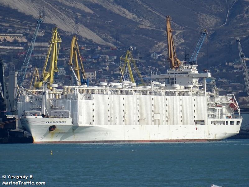 anna marra (Livestock Carrier) - IMO 8901860, MMSI 353816000, Call Sign 3FEX8 under the flag of Panama