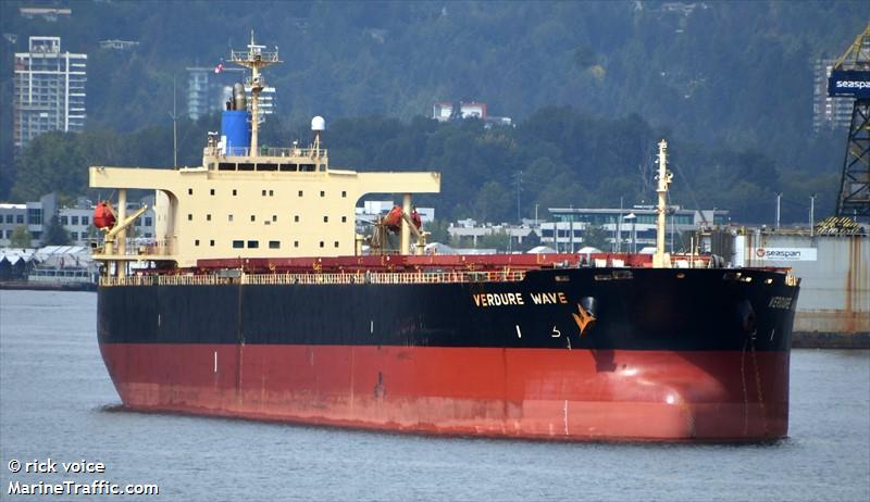 verdure wave (Bulk Carrier) - IMO 9310422, MMSI 354056000, Call Sign 3FSW7 under the flag of Panama