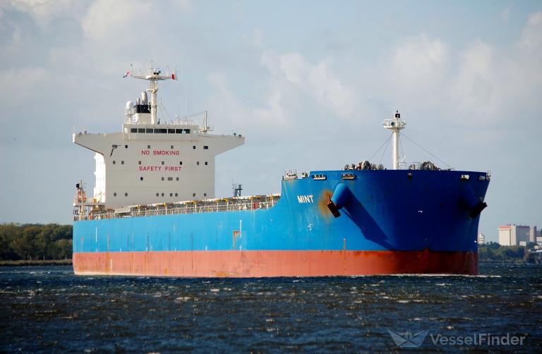 mint (Bulk Carrier) - IMO 9861081, MMSI 356227000, Call Sign 3EMQ3 under the flag of Panama