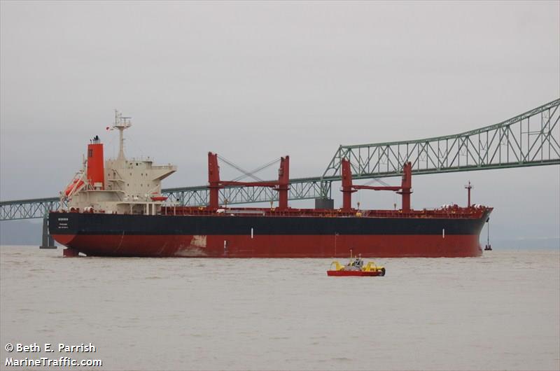 sea arirang (Bulk Carrier) - IMO 9047087, MMSI 356911000, Call Sign 3FMY5 under the flag of Panama