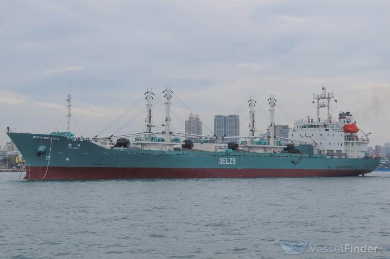 ryoma (Refrigerated Cargo Ship) - IMO 9133305, MMSI 371727000, Call Sign 3ELZ5 under the flag of Panama