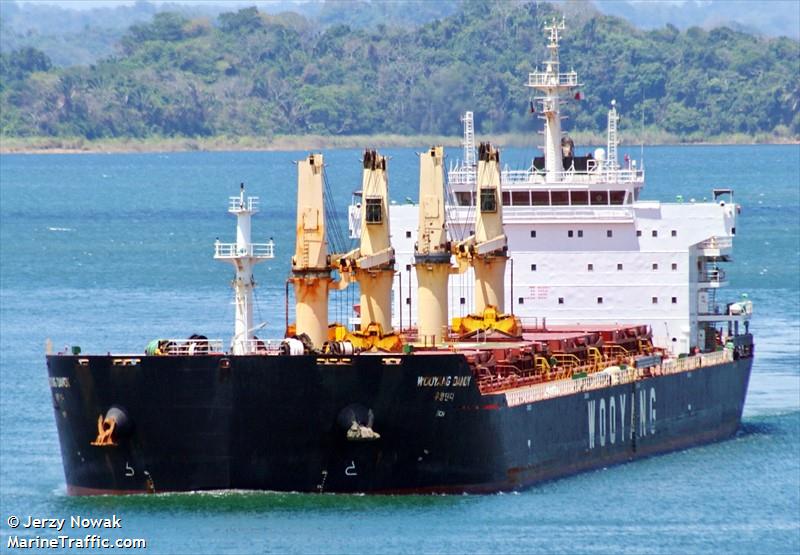wooyang dandy (Bulk Carrier) - IMO 9455648, MMSI 441301000, Call Sign D7WD under the flag of Korea