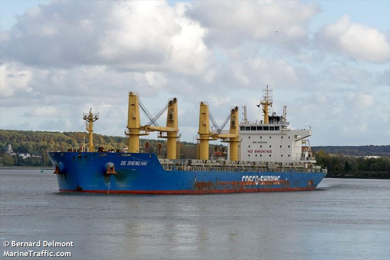 de sheng hai (Bulk Carrier) - IMO 9751315, MMSI 477002800, Call Sign VRQP9 under the flag of Hong Kong