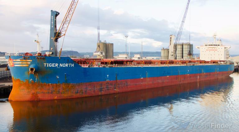 tiger north (Bulk Carrier) - IMO 9619878, MMSI 477631300, Call Sign VRKE5 under the flag of Hong Kong