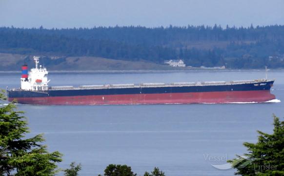 toro (Bulk Carrier) - IMO 9443009, MMSI 538007174, Call Sign V7NL4 under the flag of Marshall Islands