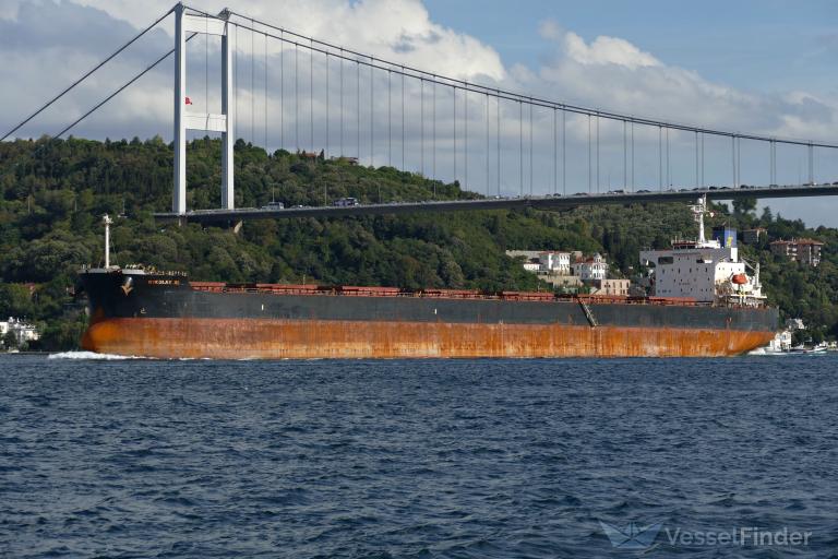 nikolas xl (Bulk Carrier) - IMO 9311165, MMSI 538007280, Call Sign V7FI7 under the flag of Marshall Islands