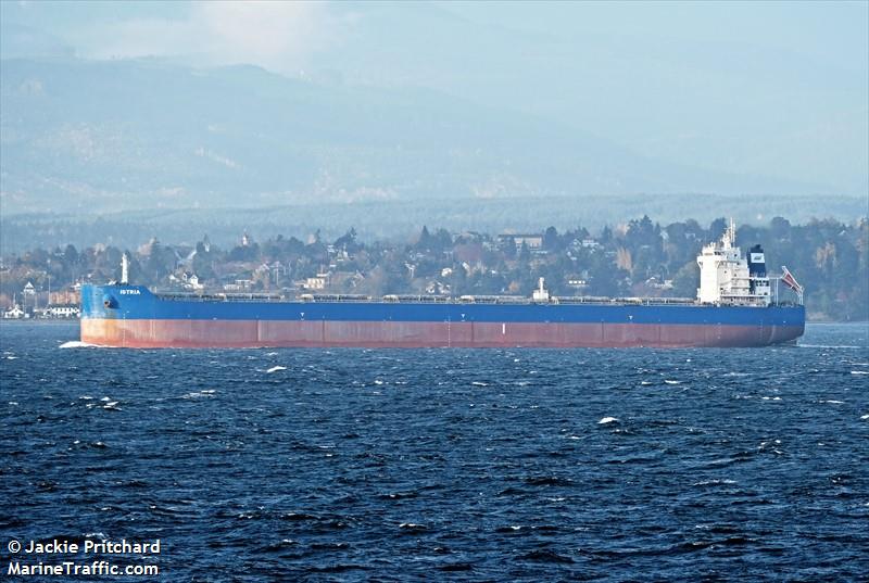 istria (Bulk Carrier) - IMO 9601912, MMSI 566818000, Call Sign 9V9345 under the flag of Singapore