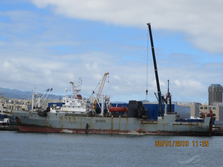 grey whale (Fish Factory Ship) - IMO 7703962, MMSI 613003578, Call Sign TJMC34 under the flag of Cameroon