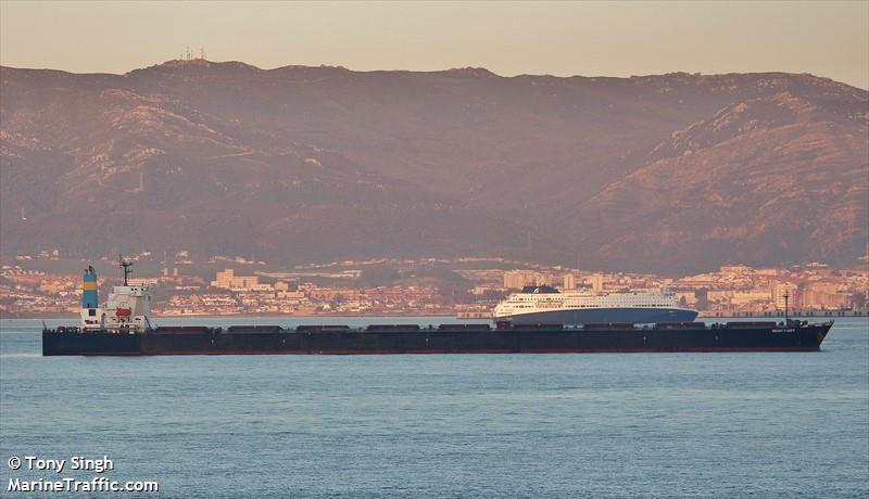 mount faber (Bulk Carrier) - IMO 9345609, MMSI 636016556, Call Sign D5GS8 under the flag of Liberia