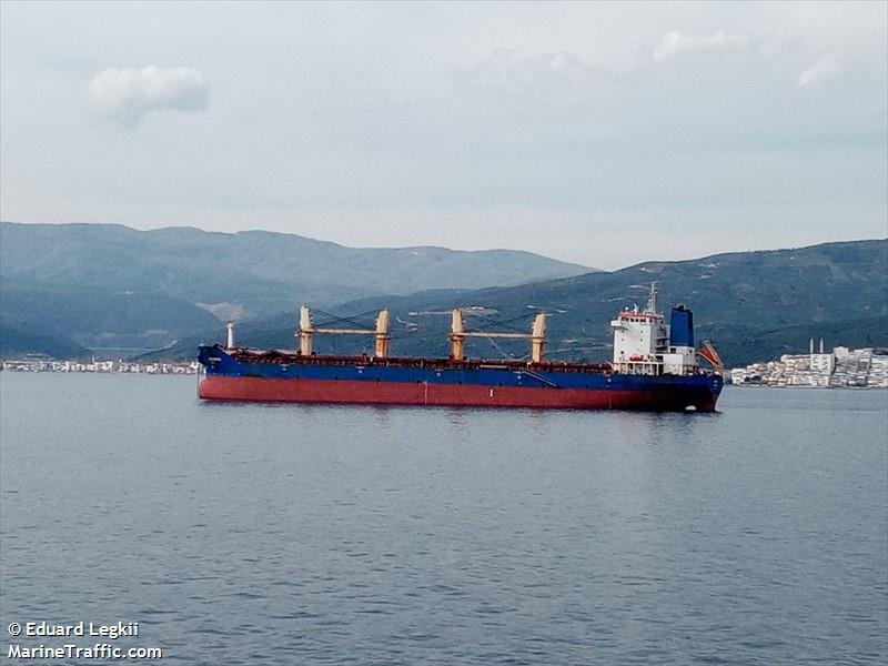 auzonia (Bulk Carrier) - IMO 9353670, MMSI 636019276, Call Sign D5TT5 under the flag of Liberia