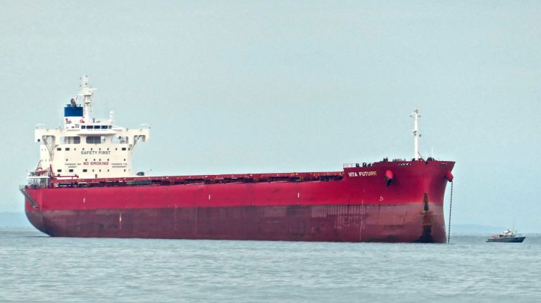 vita future (Bulk Carrier) - IMO 9697870, MMSI 636020244, Call Sign D5YH8 under the flag of Liberia