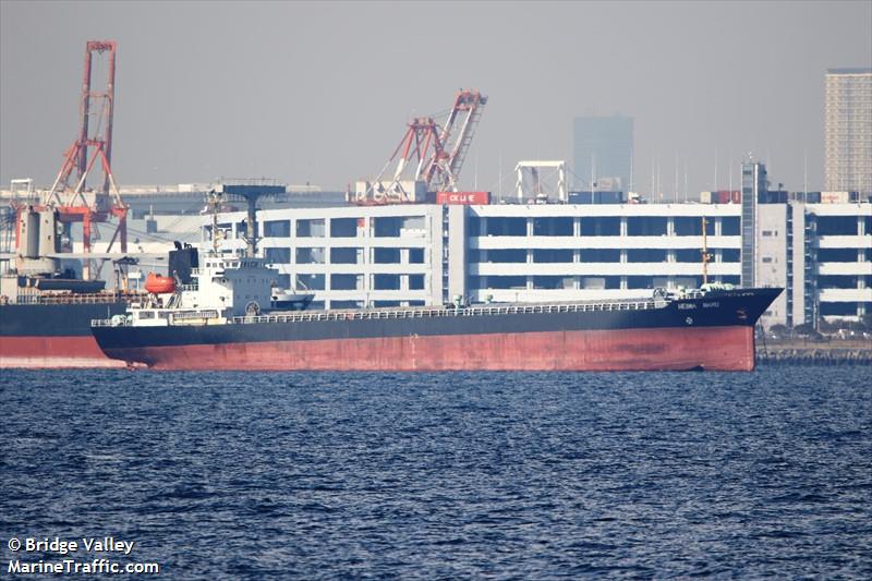 heiwa maru (General Cargo Ship) - IMO 9036349, MMSI 671069100, Call Sign 5VFY2 under the flag of Togolese Rep
