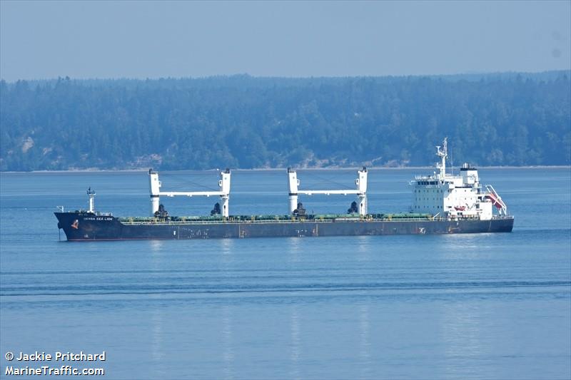 densa sea lion (Bulk Carrier) - IMO 9649079, MMSI 229204000, Call Sign 9HA3148 under the flag of Malta