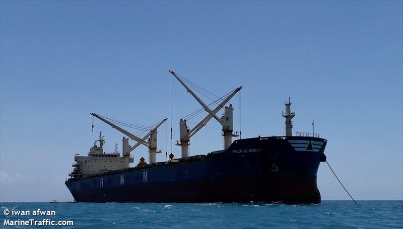 pacific dream (Bulk Carrier) - IMO 9666649, MMSI 249800000, Call Sign 9HA4381 under the flag of Malta