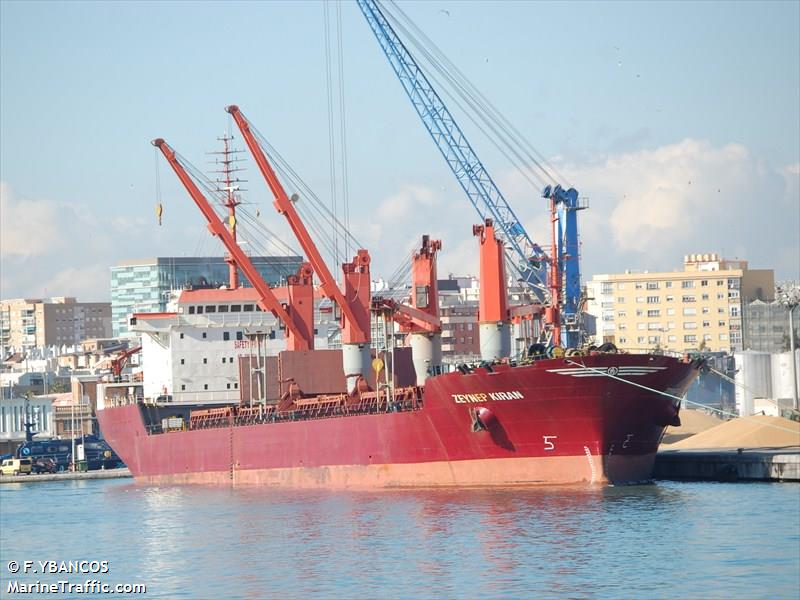 zeynep kiran (Bulk Carrier) - IMO 9015577, MMSI 271000642, Call Sign TCZK under the flag of Turkey