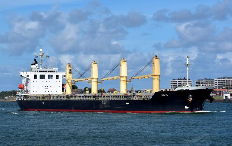 meloi (General Cargo Ship) - IMO 9392119, MMSI 351132000, Call Sign 3FOD under the flag of Panama