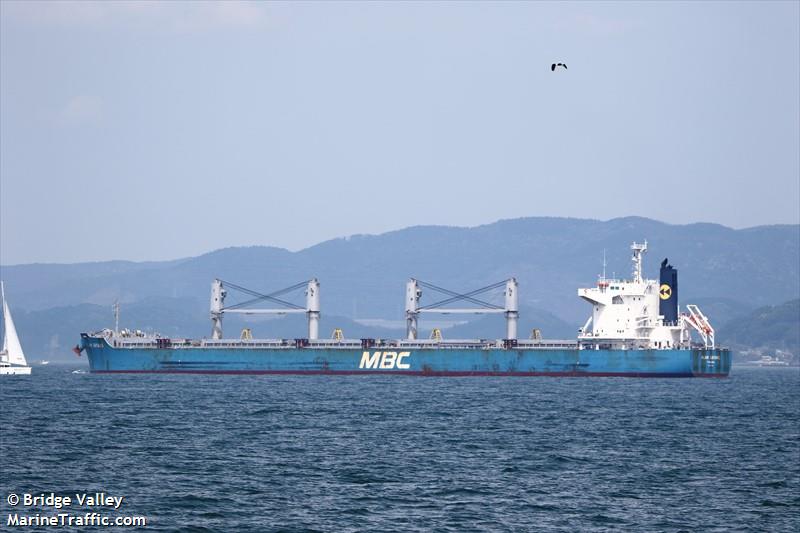 alam sayang (Bulk Carrier) - IMO 9651034, MMSI 353511000, Call Sign H3NE under the flag of Panama