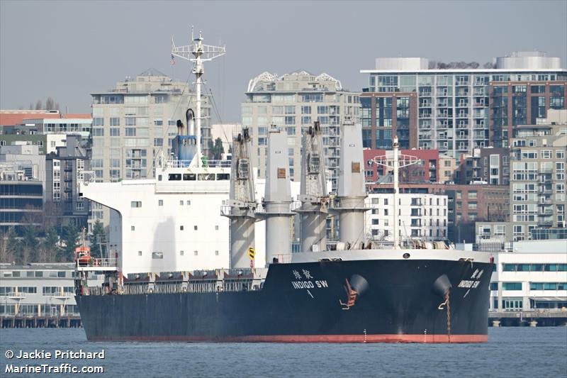 indigo sw (Bulk Carrier) - IMO 9691151, MMSI 356124000, Call Sign 3ECD5 under the flag of Panama