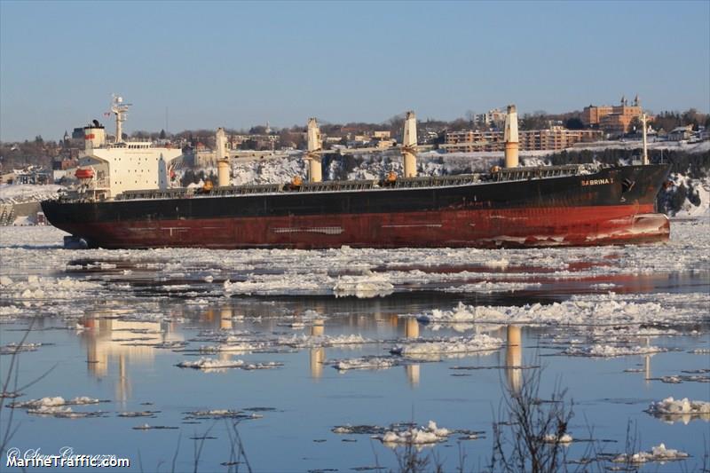 pacific sophia (Bulk Carrier) - IMO 9274927, MMSI 356917000, Call Sign HPZW under the flag of Panama