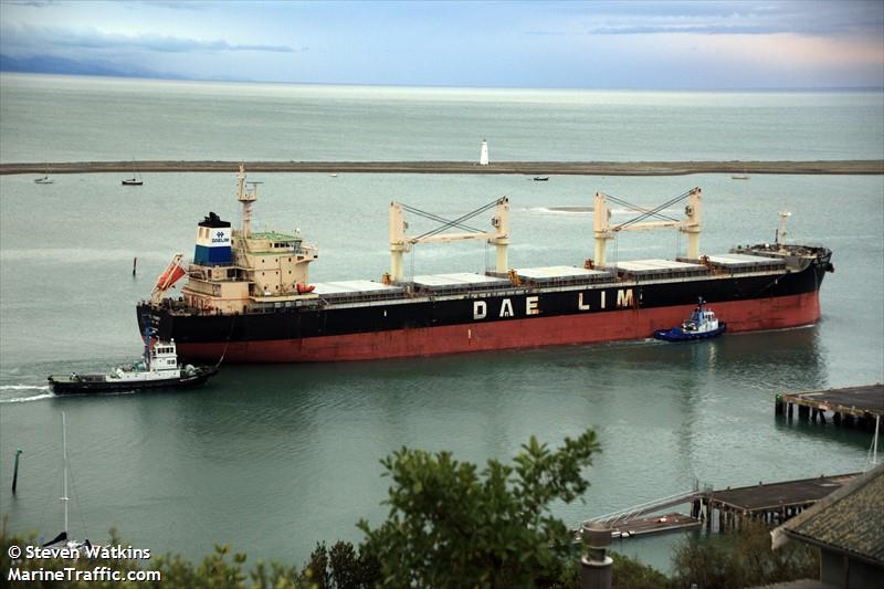 dl pansy (Bulk Carrier) - IMO 9629976, MMSI 373877000, Call Sign H3NZ under the flag of Panama