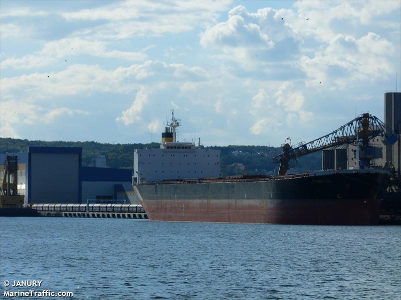 nan xin 7 (Bulk Carrier) - IMO 9223198, MMSI 414277000, Call Sign BLBL8 under the flag of China