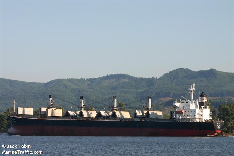 apj jad (Bulk Carrier) - IMO 9254496, MMSI 419573000, Call Sign AUKM under the flag of India