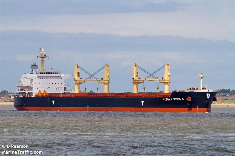 vienna wood n (Bulk Carrier) - IMO 9593713, MMSI 477051600, Call Sign VRHS6 under the flag of Hong Kong