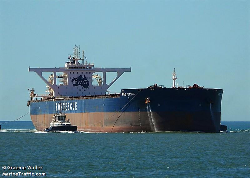 fmg david (Bulk Carrier) - IMO 9753571, MMSI 477148600, Call Sign VRRD4 under the flag of Hong Kong