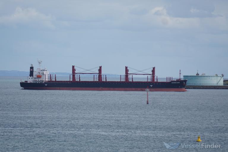 sungkiang (Bulk Carrier) - IMO 9873747, MMSI 477591800, Call Sign VRTJ2 under the flag of Hong Kong