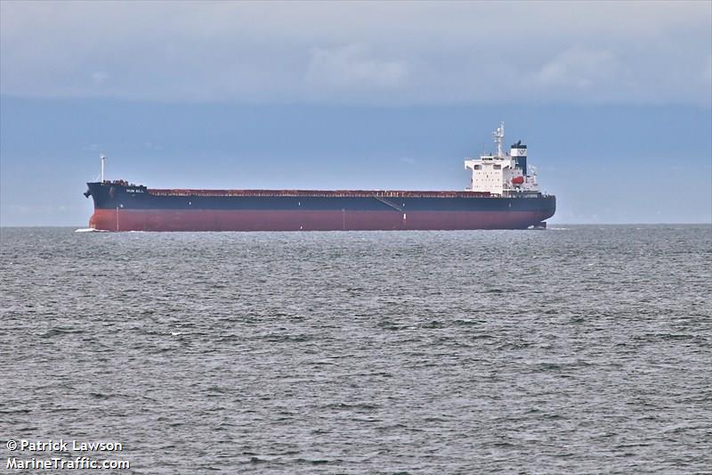 star helena (Bulk Carrier) - IMO 9361213, MMSI 538002630, Call Sign V7KJ9 under the flag of Marshall Islands