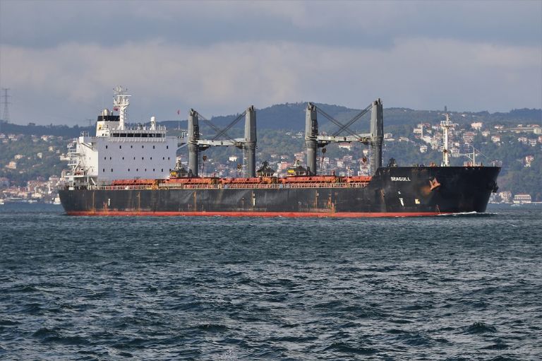 seagull (Bulk Carrier) - IMO 9452505, MMSI 538008970, Call Sign V7A2959 under the flag of Marshall Islands