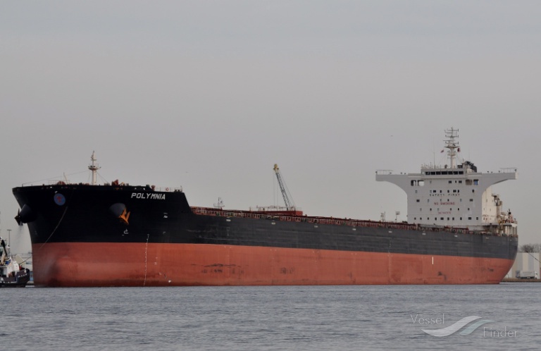 polymnia (Bulk Carrier) - IMO 9447976, MMSI 215041000, Call Sign 9HA2620 under the flag of Malta