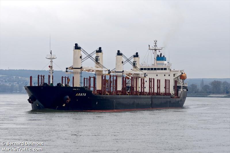 araya (Bulk Carrier) - IMO 9224843, MMSI 215046000, Call Sign 9HAP7 under the flag of Malta