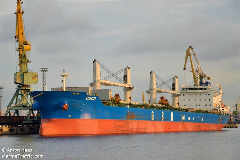 dodo (Bulk Carrier) - IMO 9662320, MMSI 229411000, Call Sign 9HA3311 under the flag of Malta