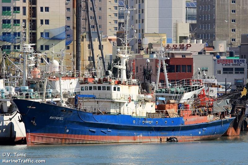 antares (Fish Carrier) - IMO 8021464, MMSI 273431030, Call Sign UBIR9 under the flag of Russia