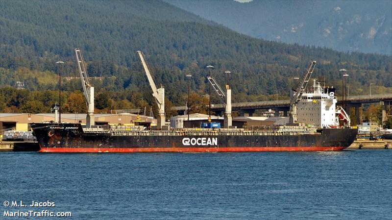 canelo arrow (General Cargo Ship) - IMO 9107318, MMSI 309761000, Call Sign C6OM8 under the flag of Bahamas